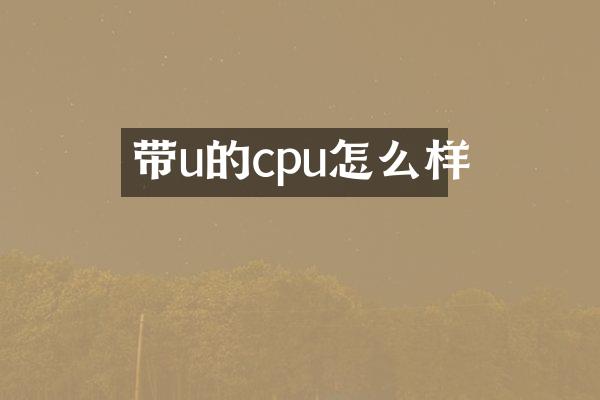 带u的cpu怎么样