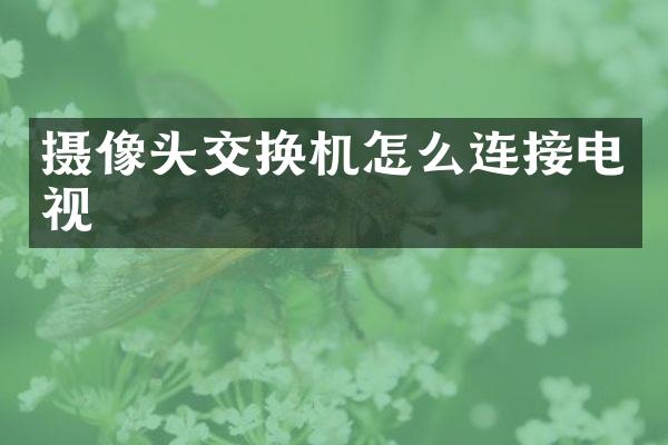 摄像头交换机怎么连接电视
