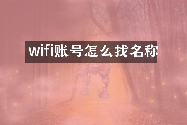 wifi账号怎么找名称