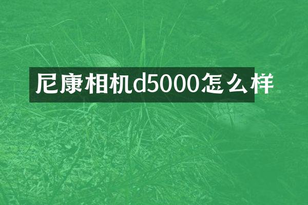 尼康相机d5000怎么样