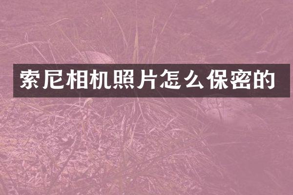 相机照片怎么保密的