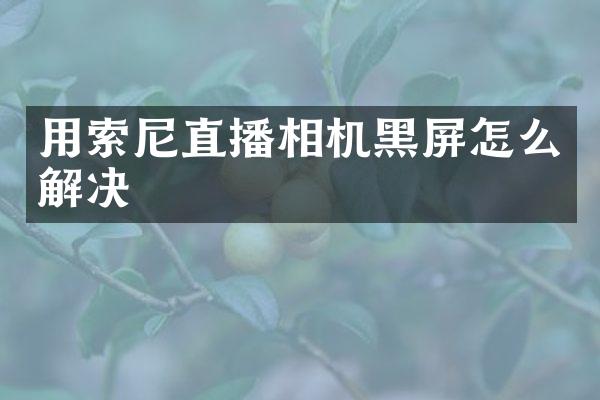 用直播相机黑屏怎么解决