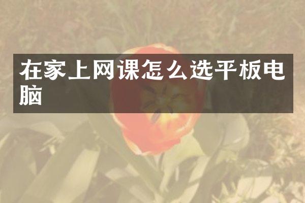 在家上网课怎么选平板电脑
