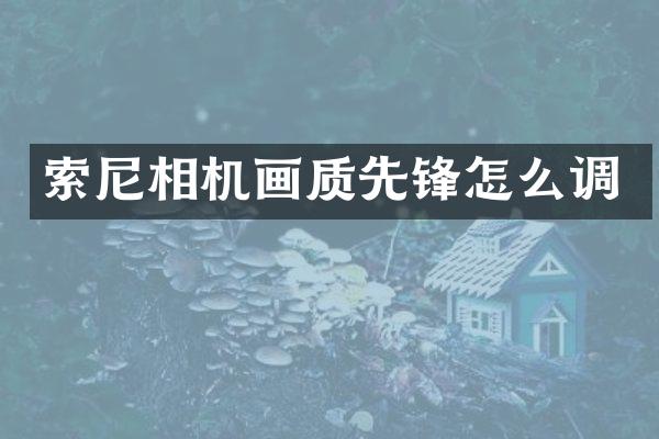 相机画质先锋怎么调