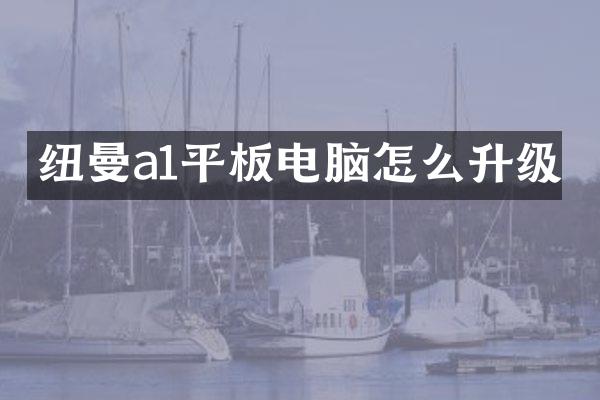 纽曼a1平板电脑怎么升级