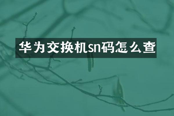 华为交换机sn码怎么查