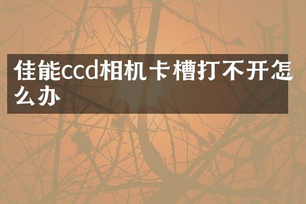 佳能ccd相机卡槽打不开怎么办