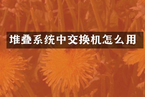 堆叠系统中交换机怎么用