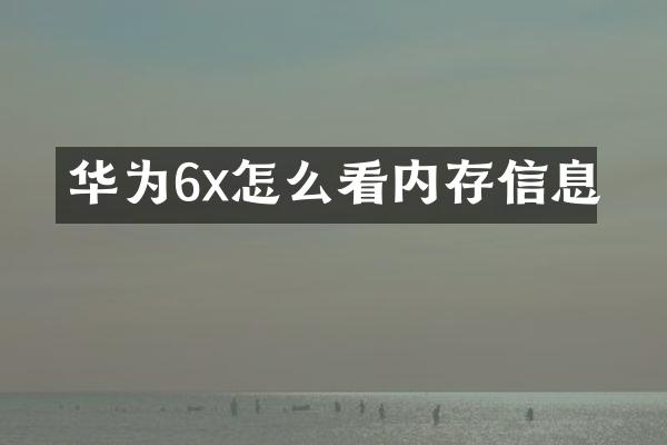 华为6x怎么看内存信息