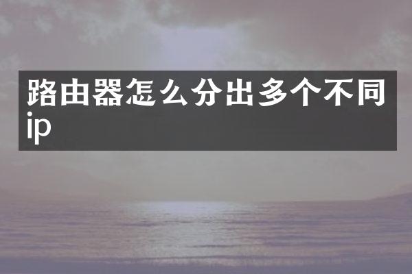 路由器怎么分出多个不同ip