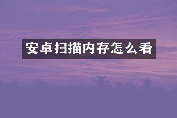 安卓扫描内存怎么看