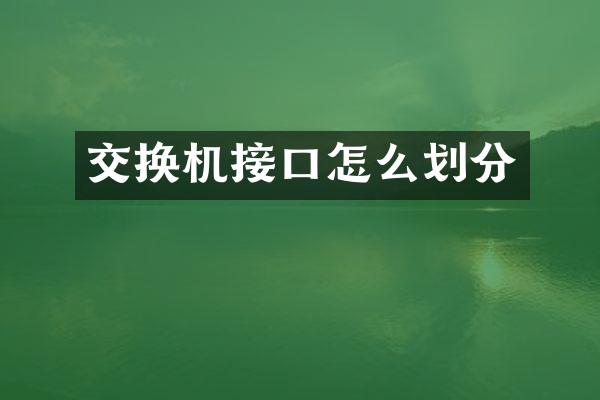 交换机接口怎么划分