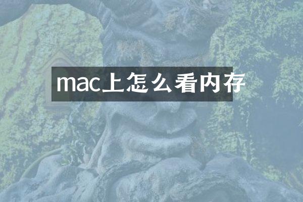 mac上怎么看内存