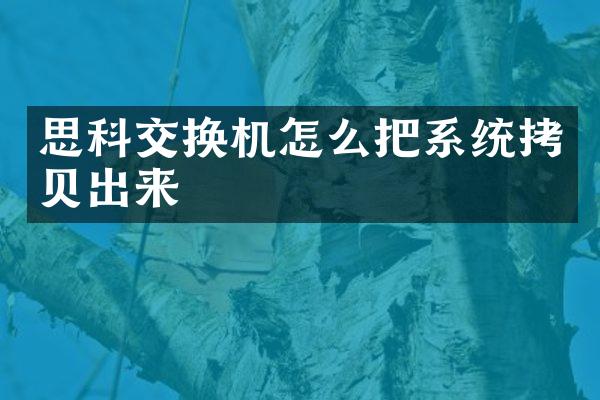 思科交换机怎么把系统拷贝出来