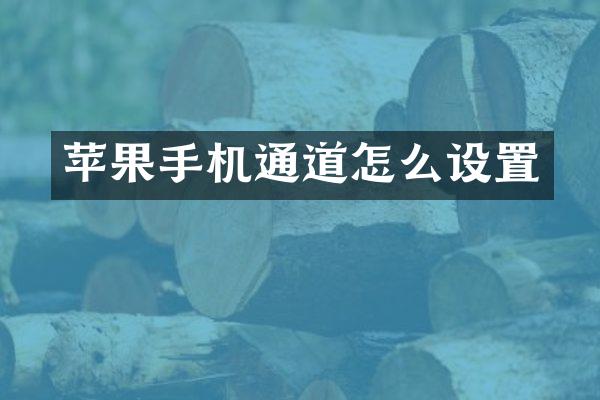 苹果手机通道怎么设置
