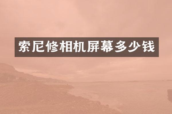 修相机屏幕多少钱