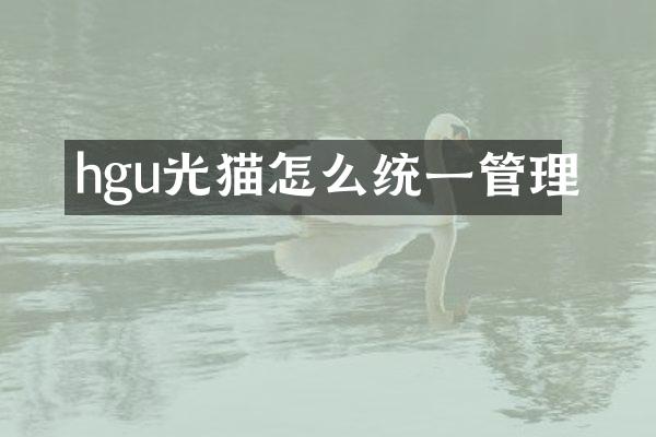 hgu光猫怎么统一管理