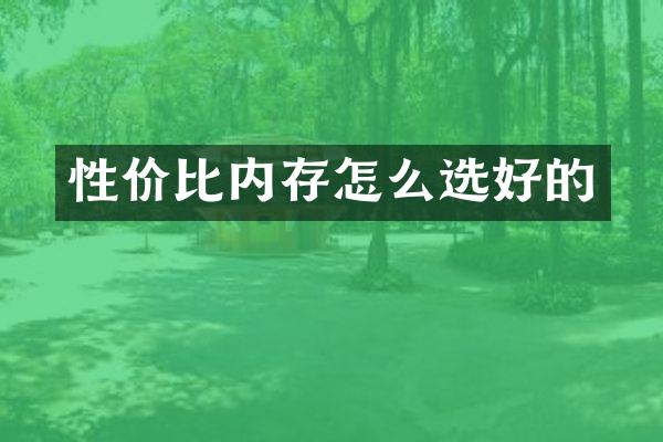 性价比内存怎么选好的