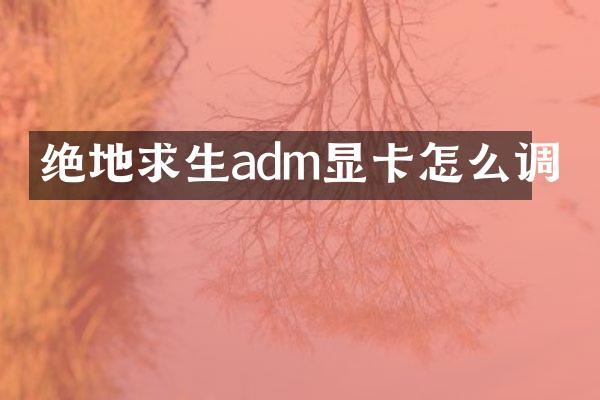 绝地求生adm显卡怎么调