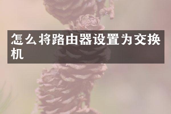 怎么将路由器设置为交换机