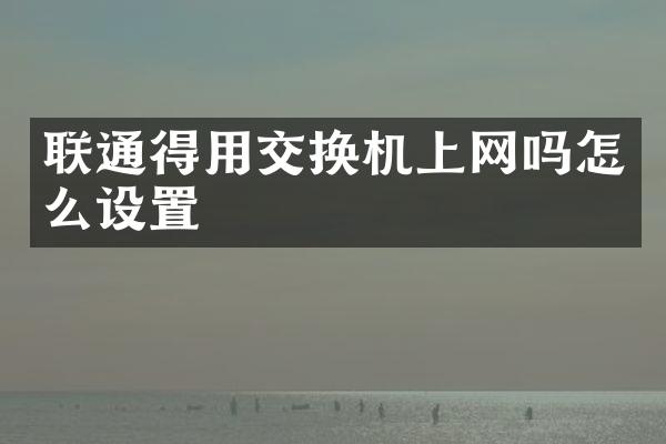联通得用交换机上网吗怎么设置