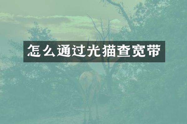 怎么通过光猫查宽带