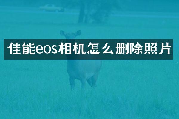 佳能eos相机怎么删除照片