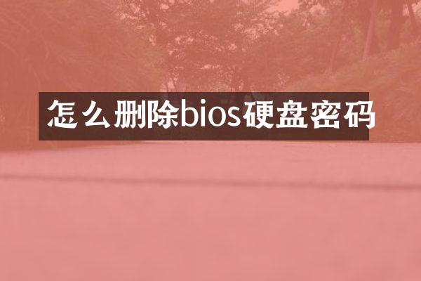 怎么删除bios硬盘密码