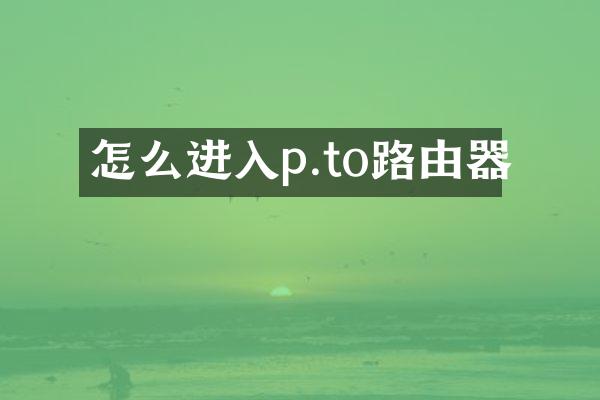 怎么进入p.to路由器