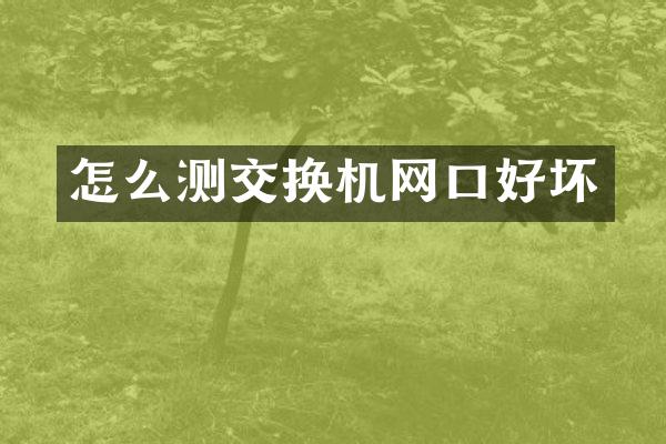 怎么测交换机网口好坏