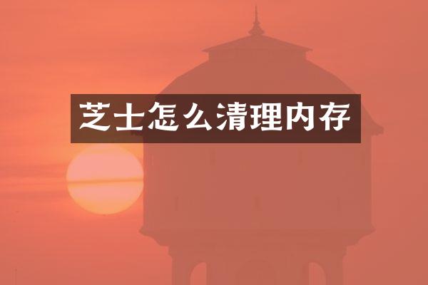 芝士怎么清理内存