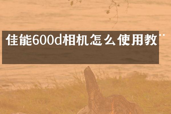 佳能600d相机怎么使用教程