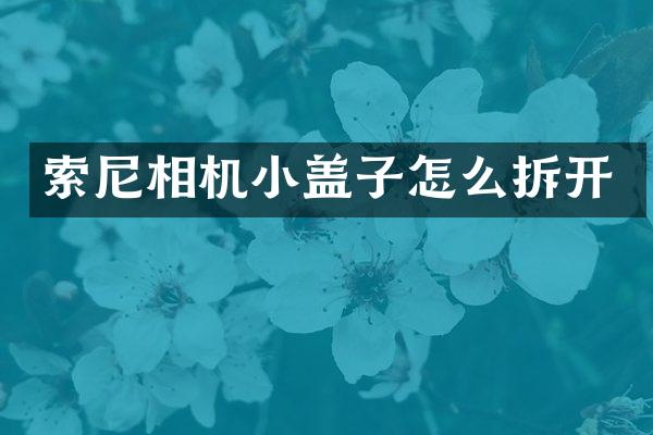 相机小盖子怎么拆开