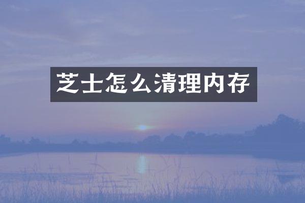 芝士怎么清理内存