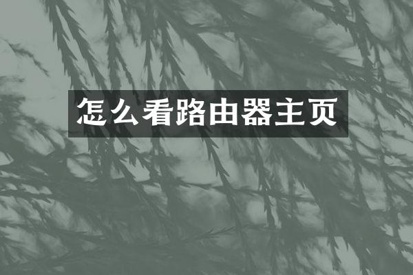怎么看路由器主页