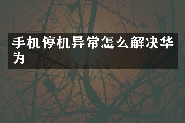 手机停机异常怎么解决华为