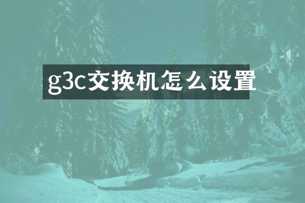 g3c交换机怎么设置