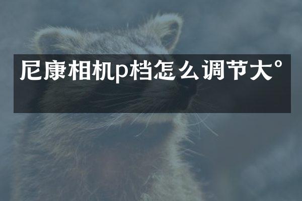 尼康相机p档怎么调节大小