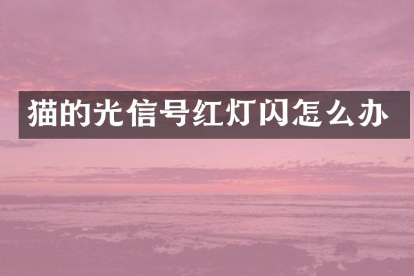 猫的光信号红灯闪怎么办