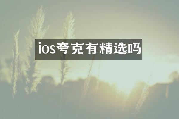 ios夸克有精选吗