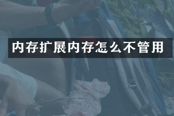 内存扩展内存怎么不管用