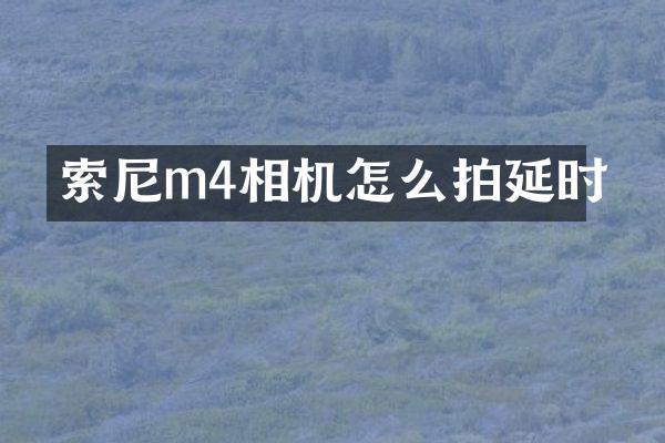 m4相机怎么拍延时