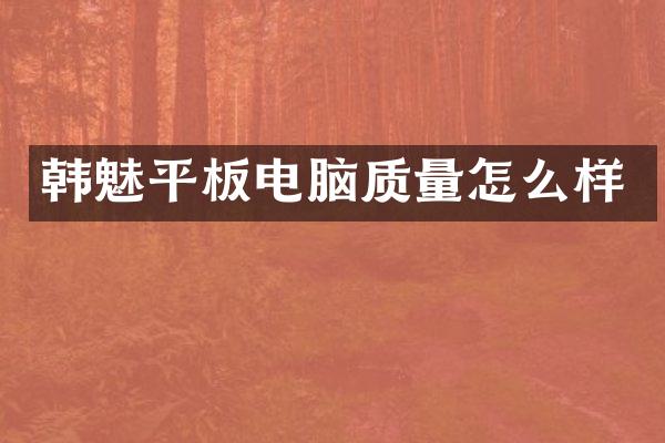 韩魅平板电脑质量怎么样