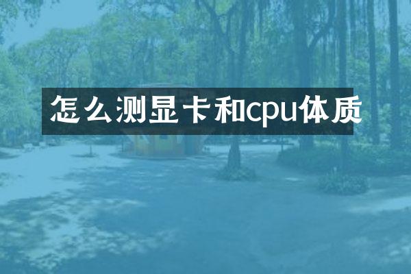怎么测显卡和cpu体质