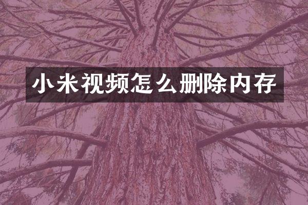 小米视频怎么删除内存