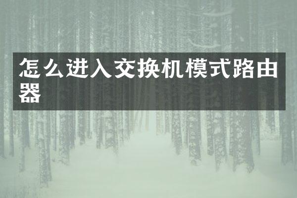 怎么进入交换机模式路由器