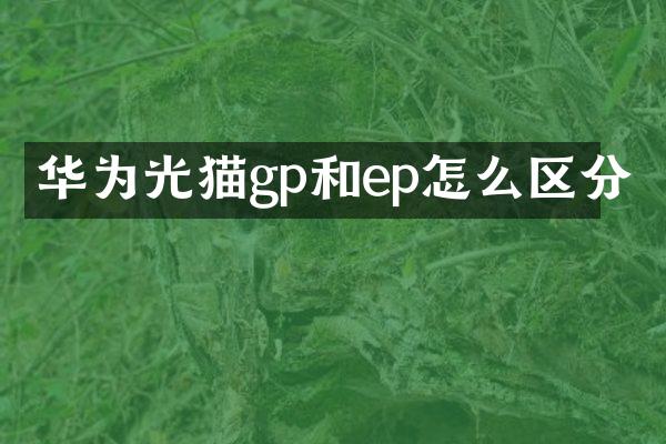 华为光猫gp和ep怎么区分