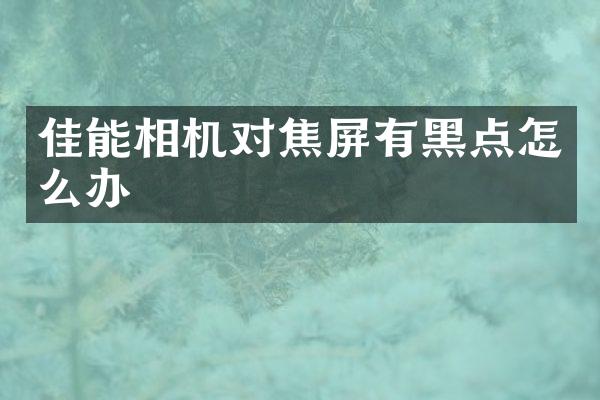佳能相机对焦屏有黑点怎么办