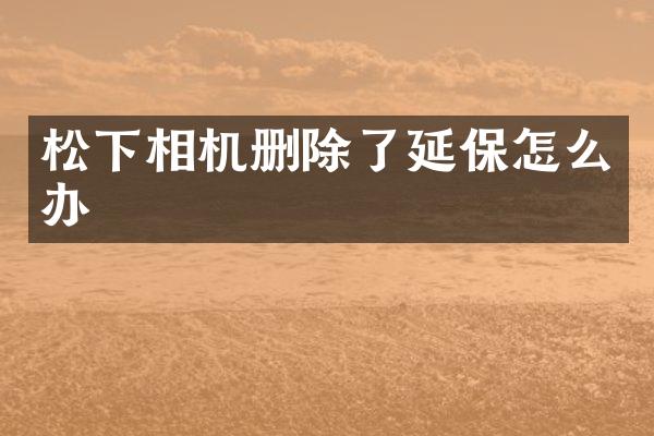 相机删除了延保怎么办