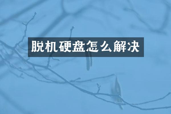 脱机硬盘怎么解决